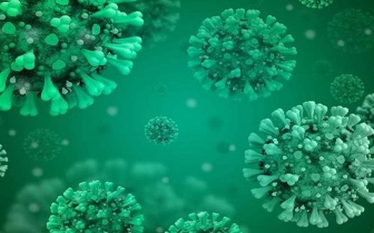 இந்தியாவிற்கு பரவிய உருமாறிய கொரோனா வைரஸ்… 6 பேர் பா தி ப்பு! பீ தி யில் மக்கள்!!