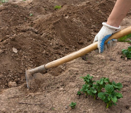 நிலத்துக்கடியில் உ யிருடன் பு தைக்கப்பட்ட பெண் : வெளியாகிய அ திர்ச்சி தகவல்!!