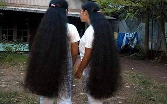 அடர்த்தியாக முடி வளர் இந்த ஒரு பொருளை மட்டுமே யூஸ் பண்ணி பாருங்கள்.. ஒரே வாரத்தில் பலன் அளிக்குமாம்!!