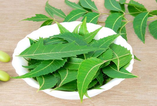 வேப்பிலையை வைத்து கொ டிய சர்க்கரை நோயை எப்படி விரட்டியடிக்கலாம்?