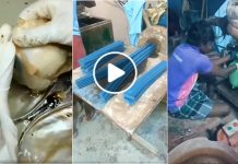 சோப்புகளை தயாரிப்பது முத்தெடுப்பது மற்றும் , பல பொருள்கள் உருவாகும் விதம் பலரையும் இ ரசிக்க வைத்துள்ளது…நீங்களும் பாருங்க!!