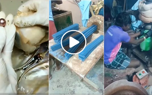 சோப்புகளை தயாரிப்பது முத்தெடுப்பது மற்றும் , பல பொருள்கள் உருவாகும் விதம் பலரையும் இ ரசிக்க வைத்துள்ளது…நீங்களும் பாருங்க!!