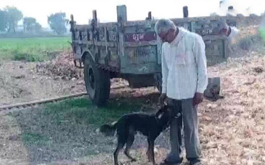 செல்ல நாய் பெயரில் 9 ஏக்கர் நிலத்தை எழுதி வைத்த நபர்: அவர் சொன்ன காரணம்!