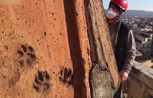 இத்தாலி:தேவாலயத்தின் மேற்கூரையில் நூற்றுக்கணக்கான விலங்குகளின் பாத சுவடுகள்!