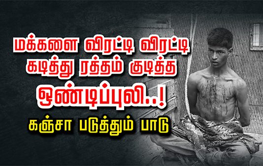 மக்களை வி ர ட்டி வி ர ட்டி க.டி.த்து ர.த்.த.ம் கு.டி.க் கும் இ ளைஞர்..!