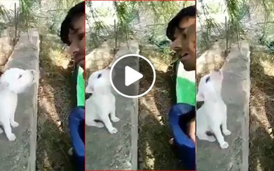 ராகம் சொல்லிக்கொடுக்க கொடுக்க அதே போல் ராகமாக பாட்டுப்பாடும் நாய்குட்டி.. வைரலாகும் காணொளி..!