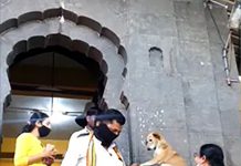 இந்தியாவில் வினோதம்: பக்தர்களை வரவேற்று ஆசி வழங்கும் நாய்! வைரலாகும் நெகிழ்ச்சி வீடியோ!!