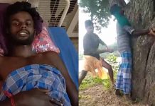 இ ளை ஞ ரை ம ரத்தில் க ட் டிவைத்து கொ டூ ரமாக தா க் கி ய வர்ககளுக்கு ஏ ற்பட்ட வி பரீதம்!!