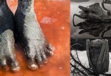 கால் வைத்தால் சிலையாக மாற்றும் மர்ம ஏரி… சிலையான பறவைகளை நீங்களே பாருங்க! எதனால் இப்படியொரு மாற்றம்?