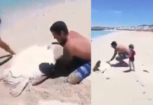 குழந்தையுடன் ப.தறிய டித்து ஓடிய நபரின் நெகிழ்ச்சி செயல்! து டிது.டித்த அரிய உயிரினம்…. இறுதியில் நடந்த அதிசயம்!!