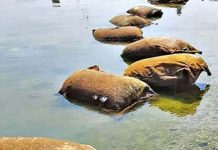 கடலில் வரிசையாக கரையொதுங்கிய மூட்டைகள்… உள்ளே இருந்தது என்ன தெரியுமா? பகீர் பின்னணி !!