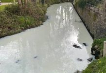 திடீரென பாலாறாக மாறிய ஆறு.. வியப்புடன் ஒன்று கூடி பார்வையிட்ட மக்கள்! வைரலாகும் காணொளி!!