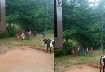 சொத்து த.கராறில் தந்தையை அ.ரி.வாளால் வெ.ட்டிய மகன்: குடும்பமே கட்டையால் தா.க்.கி கொள்ளும் ப.ரபரப்பு ச.ம்பவம்!!