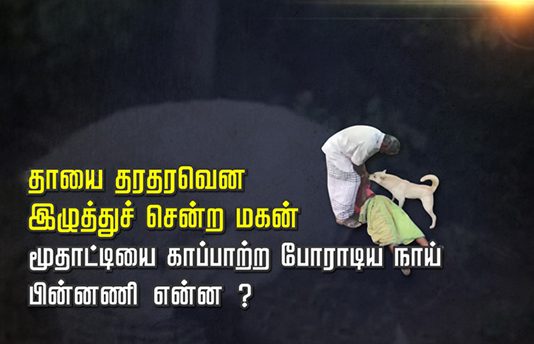 தாயை தரதரவென இழுத்துச் சென்ற மகன்: மூதாட்டியை காப்பாற்ற போராடிய நாய்!! பின்னணி என்ன?
