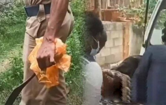 வேலை செய்வதற்கு குடும்பத்தார் எ.தி.ர் ப்பு : தாய், சகோதரிக்கு நேர்ந்த ப.ய.ங்கரம்!!