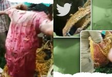50 அடி ஆழ கிணற்றுக்குள் விழுந்த பெண்: பின் நடந்த பரபரப்பு சம்பவம்!!
