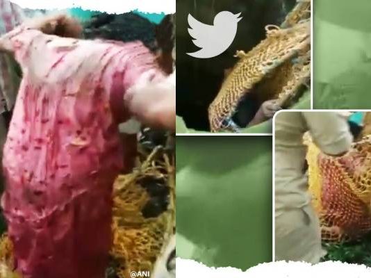 50 அடி ஆழ கிணற்றுக்குள் விழுந்த பெண்: பின் நடந்த பரபரப்பு சம்பவம்!!