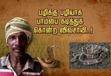 பழிக்கு பழியாக பா.ம்.பை கடித்துக் கொ.ன்ற விவசாயி: வெளியான வீடியோ!!