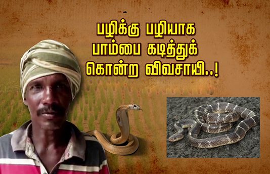 பழிக்கு பழியாக பா.ம்.பை கடித்துக் கொ.ன்ற விவசாயி: வெளியான வீடியோ!!