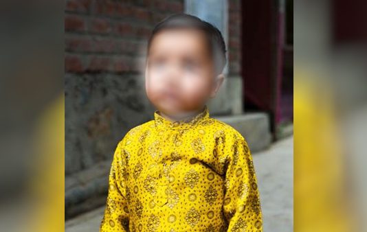 குறும்புத்தனமாக இருந்த சிறுவன் : ஆத்திரத்தில் அக்காவால் அரங்கேறிய திகில் சம்பவம்!!