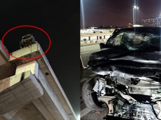 மேம்பாலத்திலிருந்து பறந்து விழுந்த பெண்னால் சாலையில் பதற்றம் : நடுங்க வைக்கும் சிசிடிவி வீடியோ!!