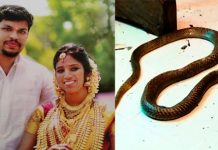 வி.ஷ.ப்.பா.ம்.பை ஏவி ம.னைவியை கொ.ன்.ற கணவன் : நாட்டையே உலுக்கிய வழக்கில் நீதிமன்றம் அதிரடி தீர்ப்பு!!