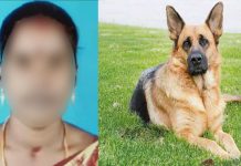 மனைவியின் செல்லப் பெயரை பக்கத்து வீட்டு நாய்க்கு வைத்ததால் நடந்த கொடூரம்!!