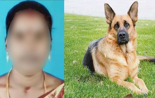 மனைவியின் செல்லப் பெயரை பக்கத்து வீட்டு நாய்க்கு வைத்ததால் நடந்த கொடூரம்!!