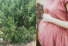 அழுகிய நிலையில் கிடந்த கர்ப்பிணி பெண் : விசாரணையில் வெளியான திடுக்கிடும் தகவல்!!