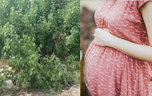 அழுகிய நிலையில் கிடந்த கர்ப்பிணி பெண் : விசாரணையில் வெளியான திடுக்கிடும் தகவல்!!