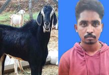 பூட்டியிருந்த வீட்டுக்குள் ரத்தம் : விசாரணை நடத்த சென்ற போலீசாருக்கு காத்திருந்த பேரதிர்ச்சி!!