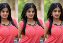 முன்னழகை திறந்துகாட்டி திணறடிக்கும் பிரியாமணி!!