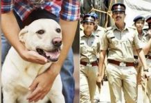 நள்ளிரவில் நாய் ஏன் இப்படி கத்துது… சந்தேகத்தில் வெளியே வந்த ஹவுஸ் ஓனருக்கு காத்திருந்த ஷாக் : கொஞ்ச நேரத்துல ஹீரோவாக மாறிய நாய்!!