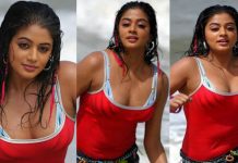 பசங்களை சுக்குநூறாகிய பிரியாமணியின் லேட்டஸ்ட் ஹாட் போட்டோஸ்!!