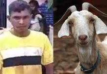 ஆடு அறுக்க வராததால் நண்பனின் தலையை வெட்டி துண்டாக்கிய இளைஞன்!!