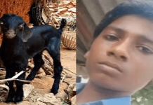 ஆசையாய் வளர்த்த ஆட்டுக்காக உயிரைவிட்ட மாணவன் : நெஞ்சை உலுக்கும் ஓர் சம்பவம்!!