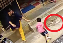 படமெடுத்து நின்ற நாகப்பாம்பு.. நொடிப்பொழுதில் மகனைக் காப்பாற்றிய தாய் : திடுக்கிடவைக்கும் வீடியோ!!