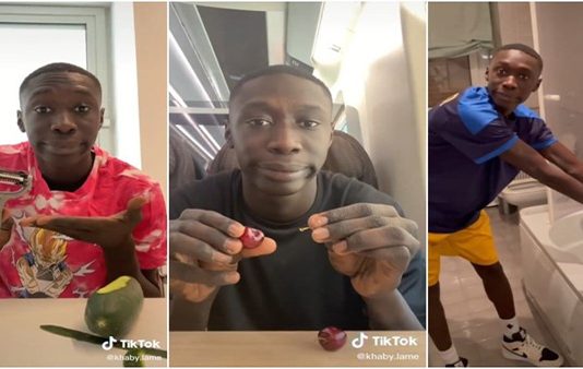 டிக்டாக்ல சும்மா கைய காட்டுனா மட்டும் போதுமா… சொத்து மதிப்பு இத்தனை கோடியா..?