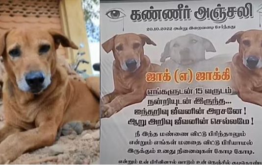 15 வருடம் நன்றியுடன் இருந்த ஐந்தறிவு செல்லப்பிராணிக்கு பதாகை வைத்து அஞ்சலி : நெகிழ்ச்சி சம்பவம்!!