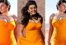 பனியனில் ஹாட் புகைப்படங்களை வெளியிட்டு இளசுகளை சூடேத்திய ஹன்சிகா!!