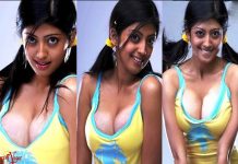 அந்த இடத்தை அப்பட்டமா காட்டி இளசுகளை மயக்கிய பிரணிதா சுபாஷ்!!