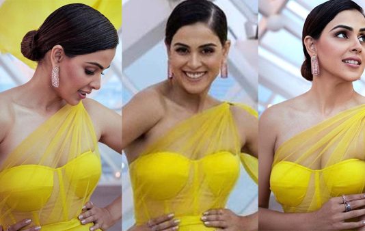 வயசானாலும் பேரழகுதான்.. ஜெனிலியாவின் தாறுமாறான கவர்ச்சியில் ஆடிப்போன ரசிகர்கள்!!