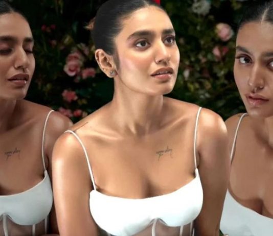 உள்ளாடையில் முரட்டு போஸ் கொடுத்த பிரியா வாரியரின் செம ஹாட் போட்டோஸ்!!