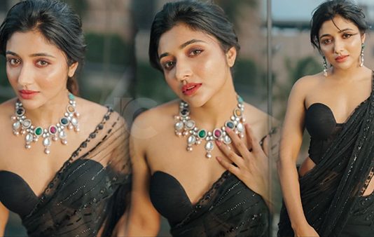 உடம்ப காட்டி இளசுகளை பாடாப்படுத்தும் மிர்னா மேனன் ஹாட் போட்டோஸ்!!