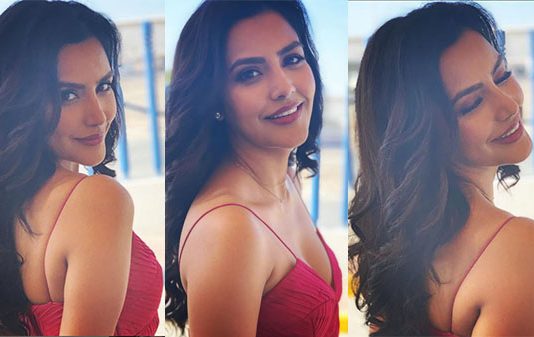 இதுவரை இல்லாத அளவிற்கு கவர்ச்சி காட்டும் பிரியா ஆனந்த்.. வாயடைத்துப்போன ரசிகர்கள்!!