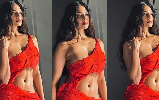 உச்சக்கட்ட கவர்ச்சியில் நடிகை மாளவிகா மோகனன்.. வர்ணித்து தள்ளும் ரசிகர்கள்!!