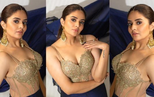 சொக்க வைக்கும் அழகில் ஸ்ரீமுகி லேட்டஸ்ட் ஹாட் கிளிக்ஸ் !!